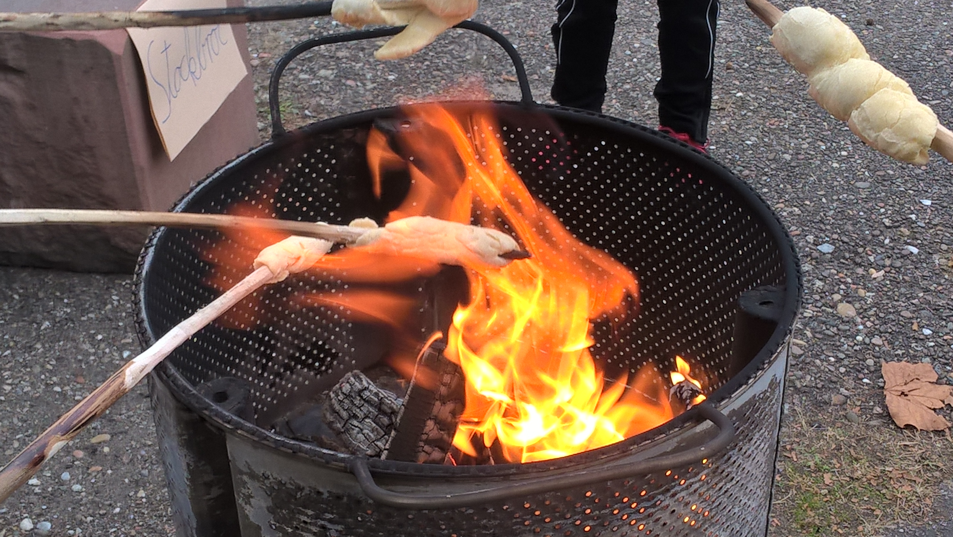 wp_20161007_16_24_49_pro